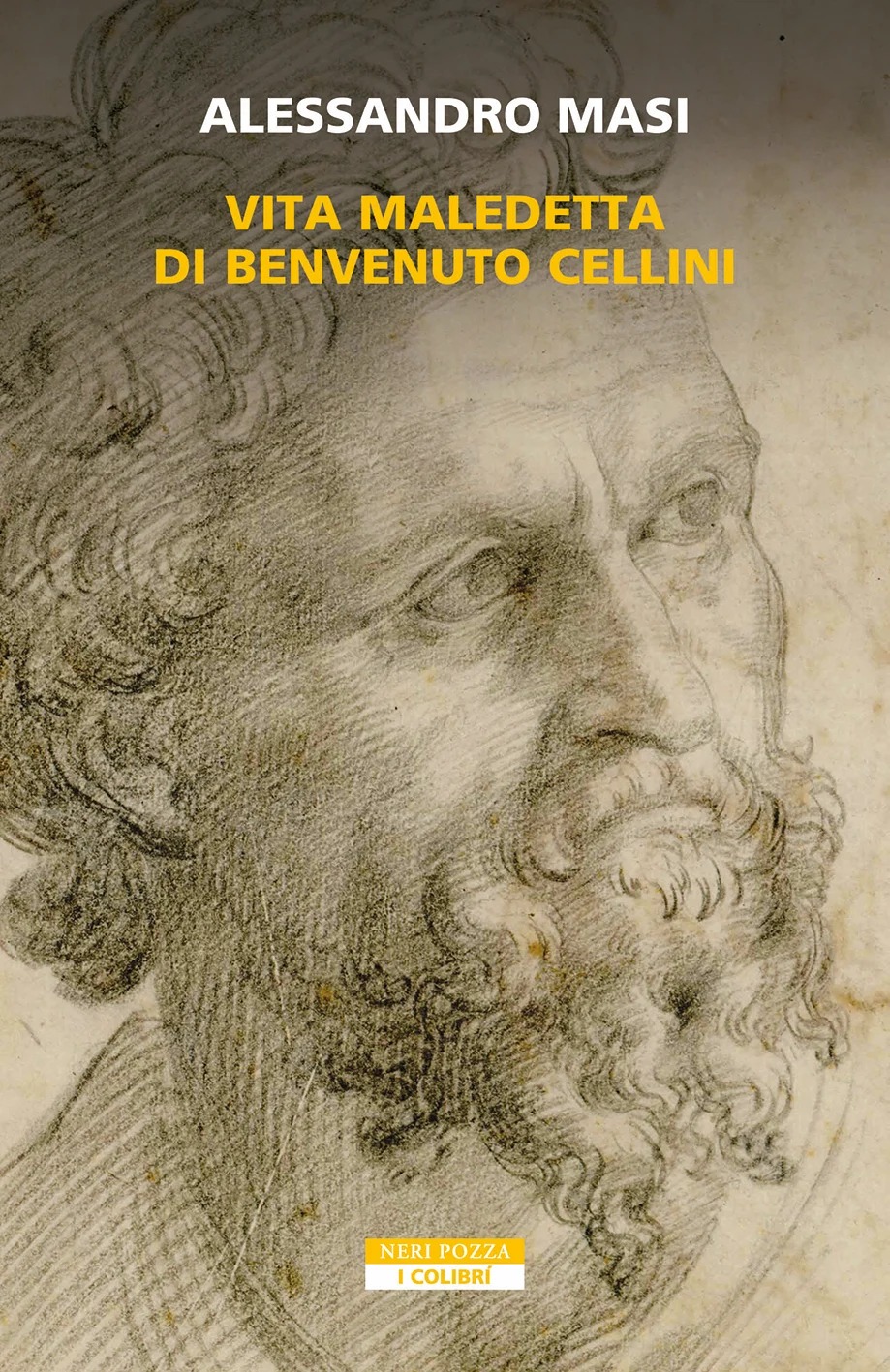26 MARZO 2024 Alessandro Masi presenta a Mar del Plata “Vita maledetta di Benvenuto Cellini”